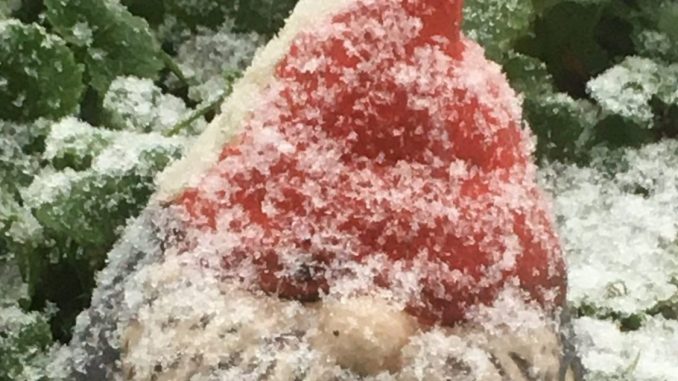 Gartenzwerg im Winter